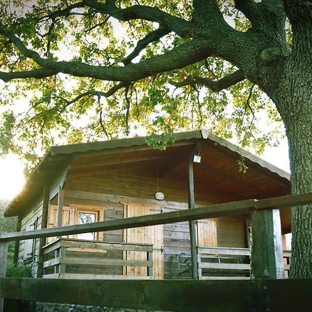 Agriturismo Kikajon 林瓜格洛萨 外观 照片