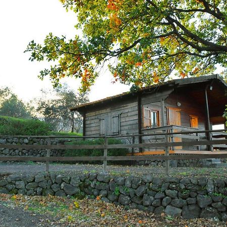 Agriturismo Kikajon 林瓜格洛萨 外观 照片