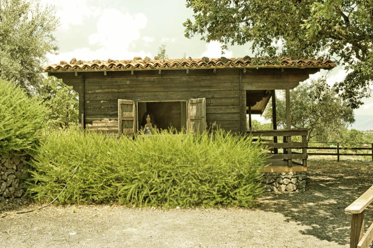 Agriturismo Kikajon 林瓜格洛萨 外观 照片