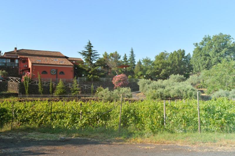 Agriturismo Kikajon 林瓜格洛萨 外观 照片