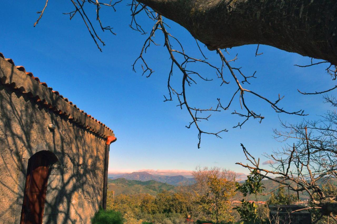Agriturismo Kikajon 林瓜格洛萨 外观 照片