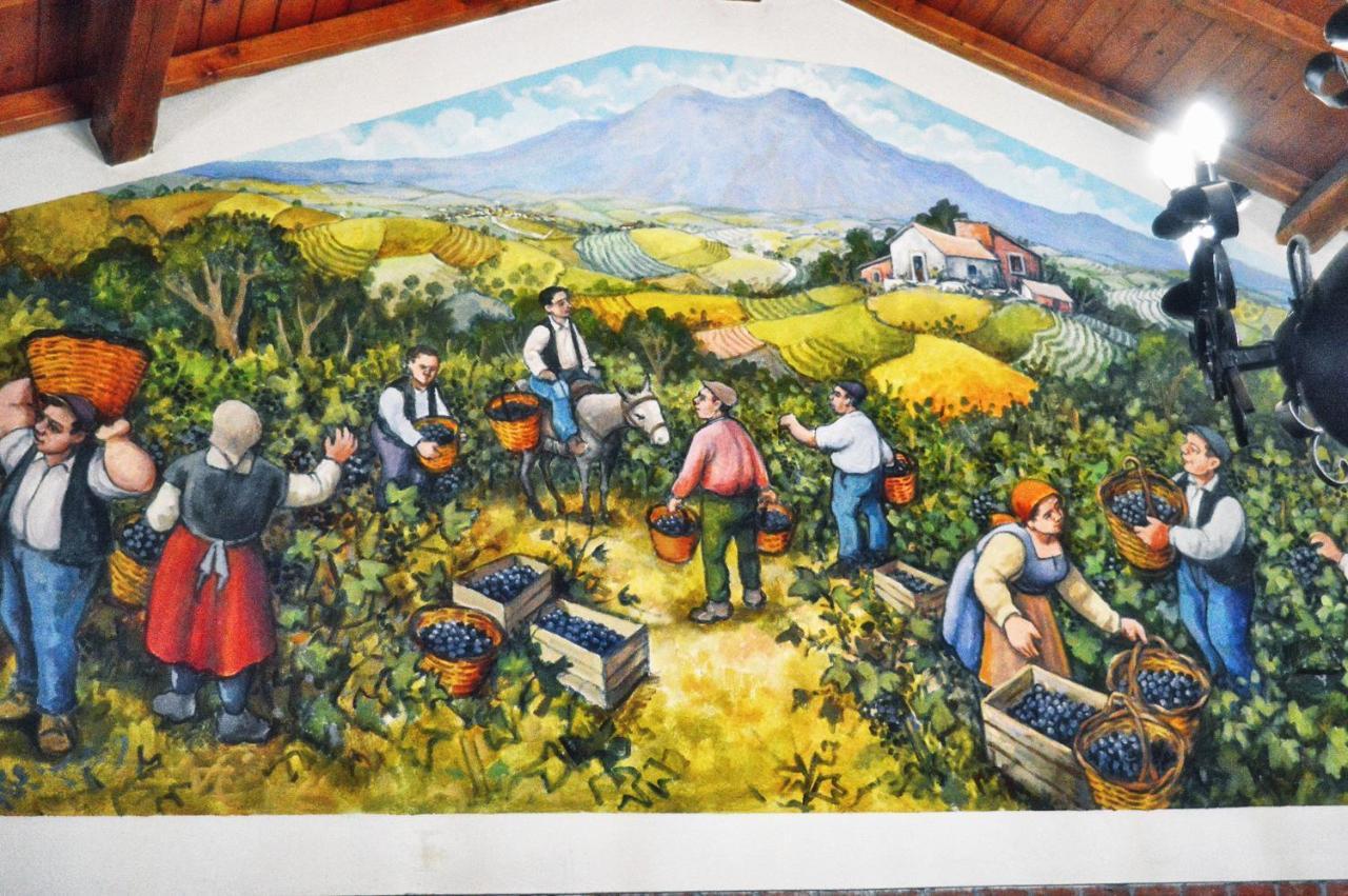 Agriturismo Kikajon 林瓜格洛萨 外观 照片
