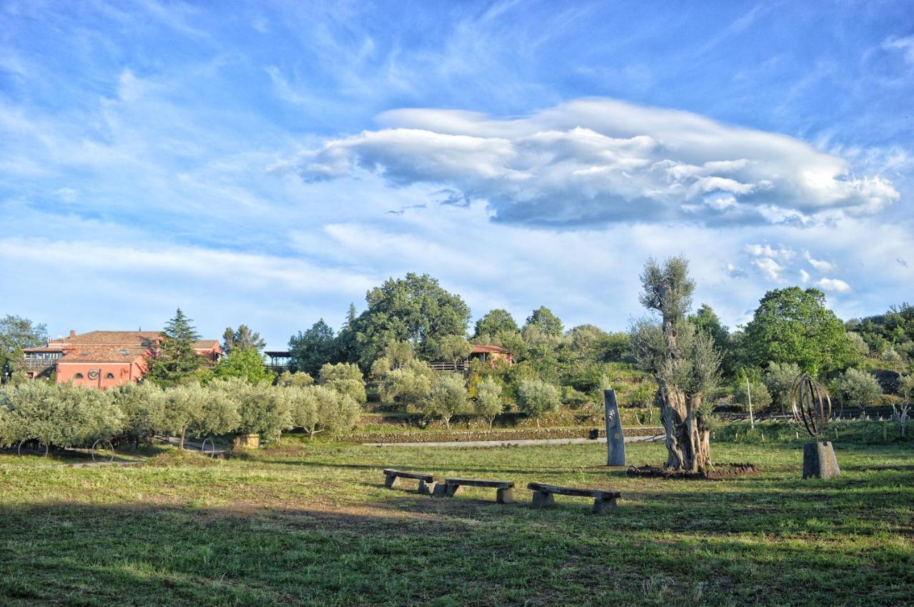 Agriturismo Kikajon 林瓜格洛萨 外观 照片