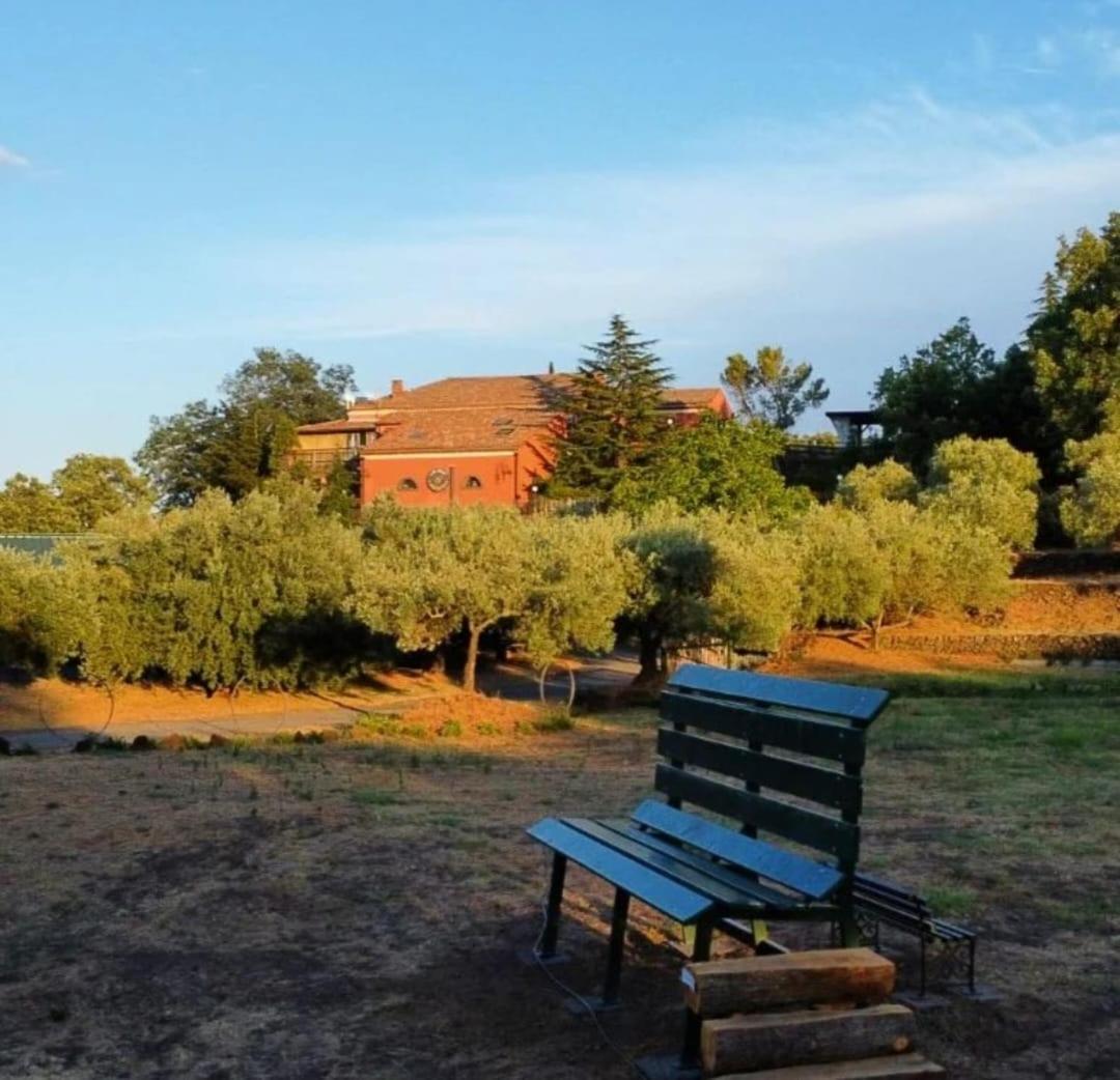 Agriturismo Kikajon 林瓜格洛萨 外观 照片
