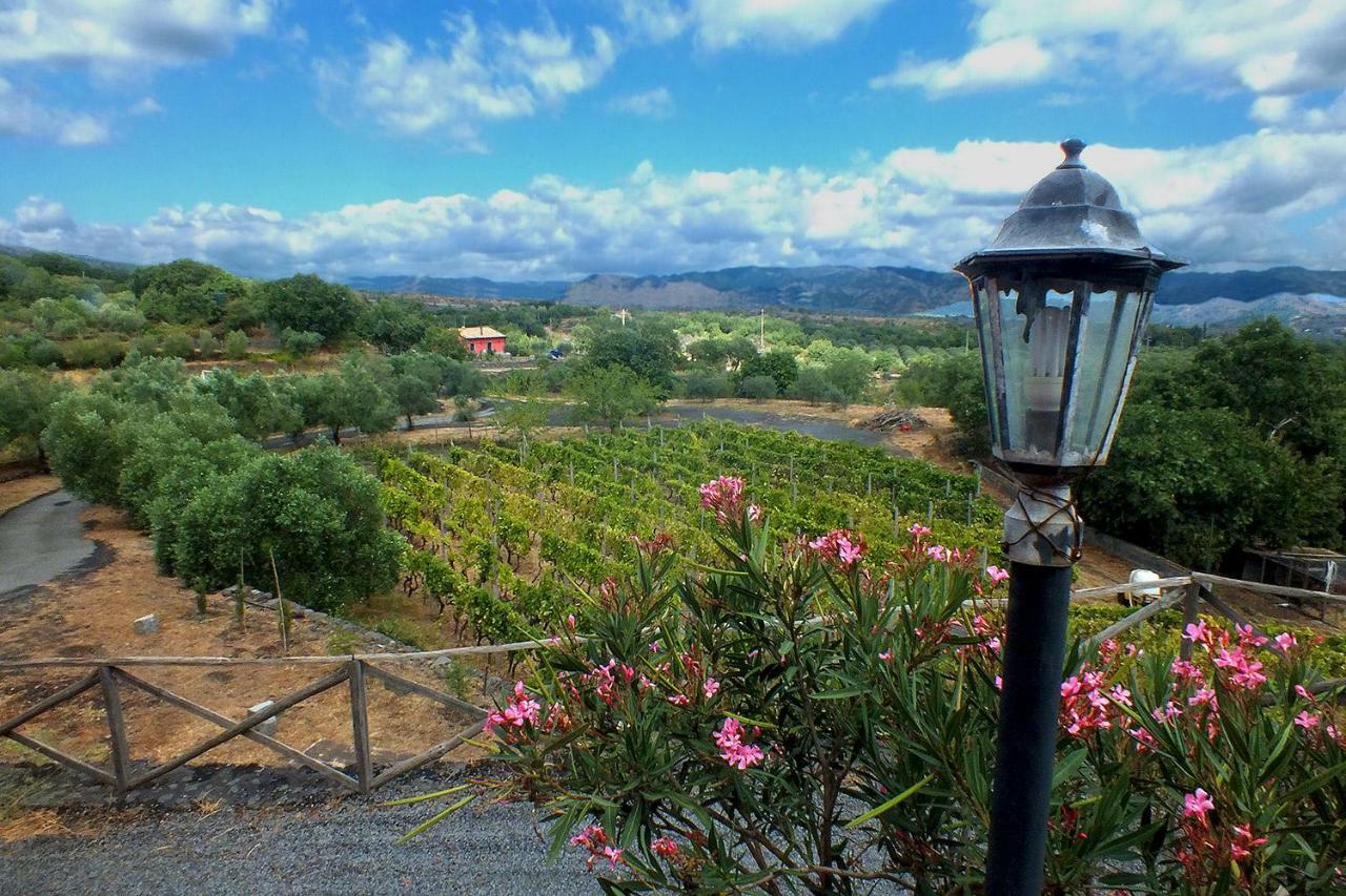 Agriturismo Kikajon 林瓜格洛萨 外观 照片