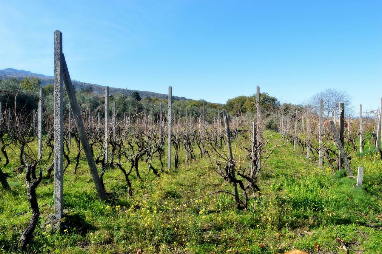Agriturismo Kikajon 林瓜格洛萨 外观 照片