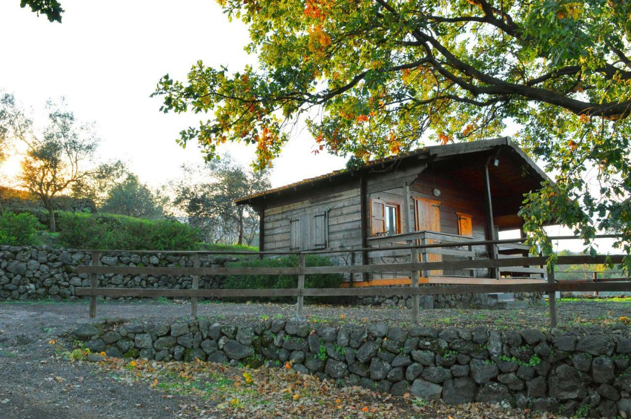 Agriturismo Kikajon 林瓜格洛萨 外观 照片