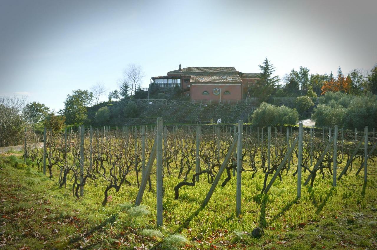 Agriturismo Kikajon 林瓜格洛萨 外观 照片